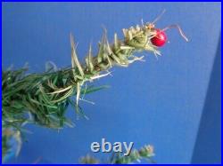 38 Antique Vintage German Goose Feather Christmas Tree