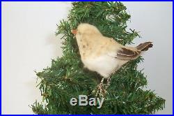 Antique Vintage Feather Tree Christmas Ornament Spun Cotton Bird Feathers