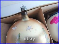 Rare Box Shiny Brite Glass Christmas Tree Ornaments West Germany with Poland Ball